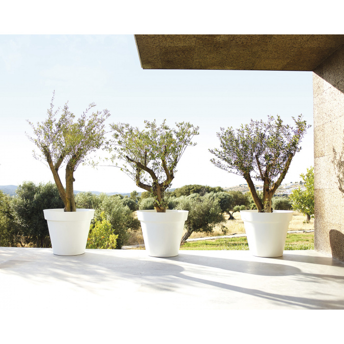 plastic-pot-recyclable-recycled-big-tree-white_89198674