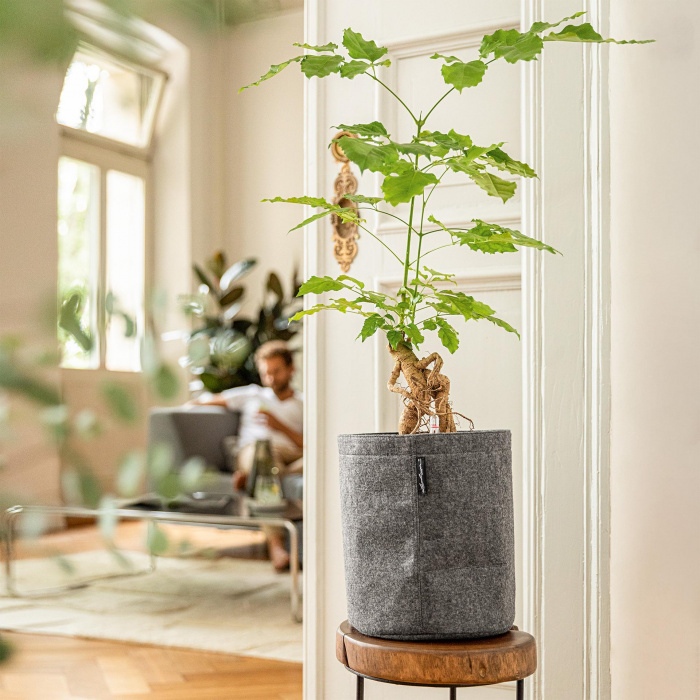 trendcover_23_felt_dark_grey_1037914163