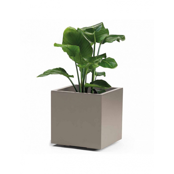 vaso-kebe-taupe